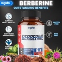 agobi-120-capsules---berberine-supplemen-3.jpg