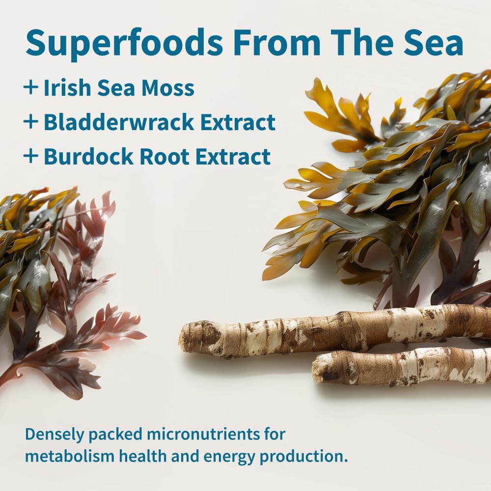 snap-supplements-irish-sea-moss-suppleme-2.jpg