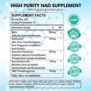 nad-supplement-liposomal-nad-nicotinamid-6.jpg