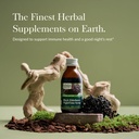 gaia-herbs-black-elderberry-nighttime-sy-2.jpg