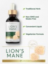 carlyle-lions-mane-mushroom-supplement-2-4.jpg