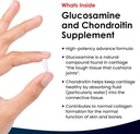 glucosamine-and-chondroitin-msm---high-s-2.jpg