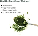 eclectic-herb---spinach-powder-supplemen-4.jpg