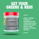 ghost-greens-powder-original---30-servin-3.jpg