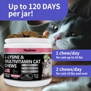 lysine-supplement-for-cats-cat-treats-fo-6.jpg