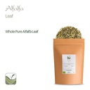 alfalfa-herb-organic-medicago-sativa---l-4.jpg