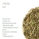 alfalfa-herb-organic-medicago-sativa---l-5.jpg
