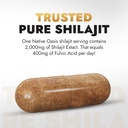 shilajit-supplement-2000mg-shilajit-for--2.jpg