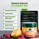 usda-organic-pre-workout-powder-lemon-be-2.jpg