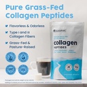 nativepath-collagen-peptides-protein---h-3.jpg