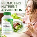youngevity-ultimate-enzymes---multi-enzy-5.jpg