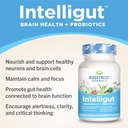 ridgecrest-herbals-intelligut-brain-and--3.jpg