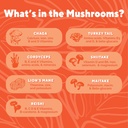 organic-mushroom-powder-blend---reishi-l-2.jpg