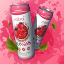 mitra9-botanical-beverages---strawberry--4.jpg