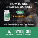creatine-monohydrate-capsules-pure-creat-6.jpg