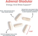 allergy-research-group-adrenal-support-s-5.jpg