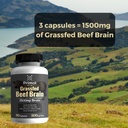 primal-being-grassfed-beef-brain-support-5.jpg