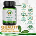 propolis-health-propolis-capsules-1000mg-3.jpg