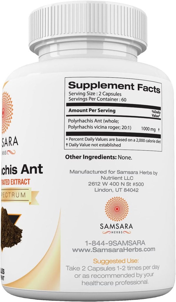 samsara-herbs-polyrhachis-black-ant-extr-2.jpg