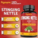 stinging-nettle-extract-capsules---4in1--2.jpg