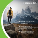 natures-plus-ageloss-digestion-support---3.jpg