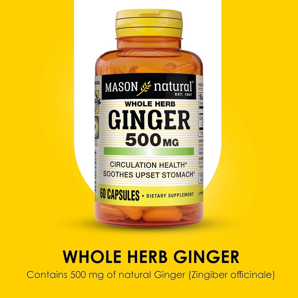 mason-natural-whole-herb-ginger-500-mg-6-4.jpg