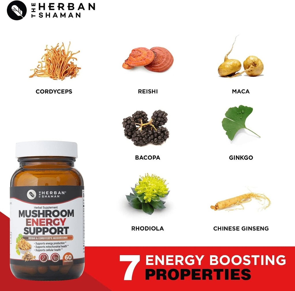 mushroom-supplement-energy-support-organ-4.jpg