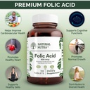 natural-nutra-folic-acid-folate-vitamin--3.jpg