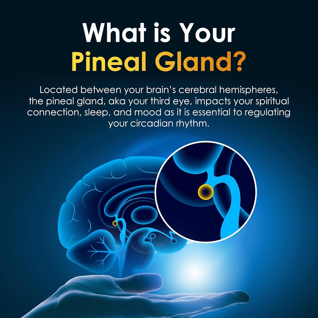 pineal-gland-supplement---brain-support--5.jpg