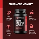 havasu-nutrition-horny-goat-weed-capsule-5.jpg