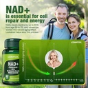 nad-resveratrol-supplement-liposomal-res-3.jpg