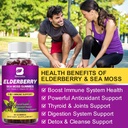 elderberry-gummies-irish-sea-moss-organi-4.jpg
