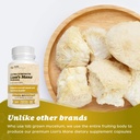 pure-nootropics---organic-lions-mane-81--5.jpg