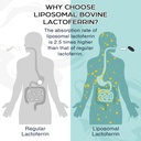 liposomal-lactoferrin-1000-mg---higher-a-2.jpg