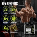 nutrabio-pure-micronized-creatine-monohy-2.jpg