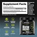 nutrabio-pure-micronized-creatine-monohy-3.jpg