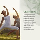 liquid-chlorophyll-liquid-drops-for-immu-2.jpg