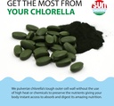 sun-chlorella-500mg-whole-body-wellness--5.jpg