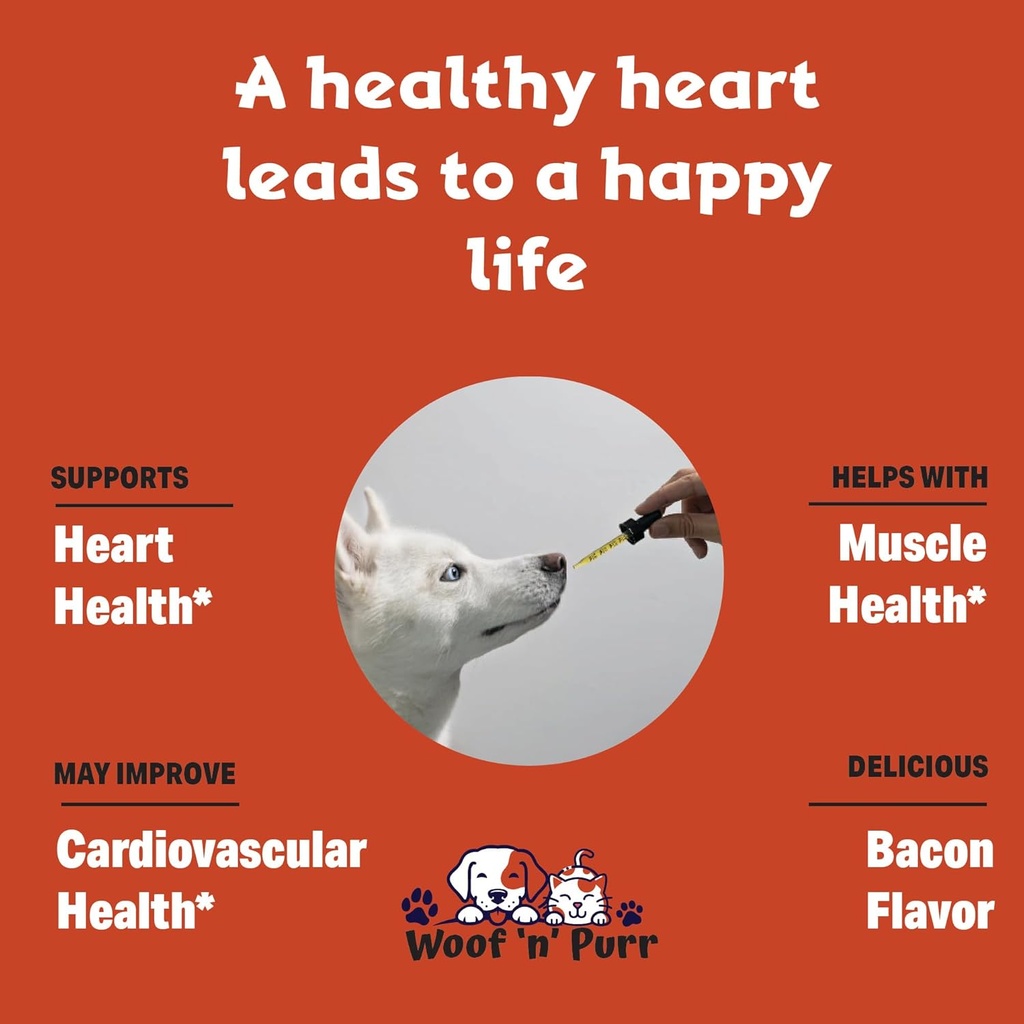dog-heart-health---helps-to-support-card-3.jpg