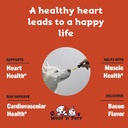 dog-heart-health---helps-to-support-card-3.jpg