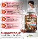 15in1-mushroom-gummies-with-lions-mane-t-5.jpg