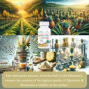 quercetin-plus-quercetin-1000mg-bromelai-5.jpg