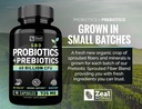 probiotics-and-prebiotics-sbo-probiotics-5.jpg