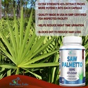 extra-strength-saw-palmetto---45-extract-3.jpg