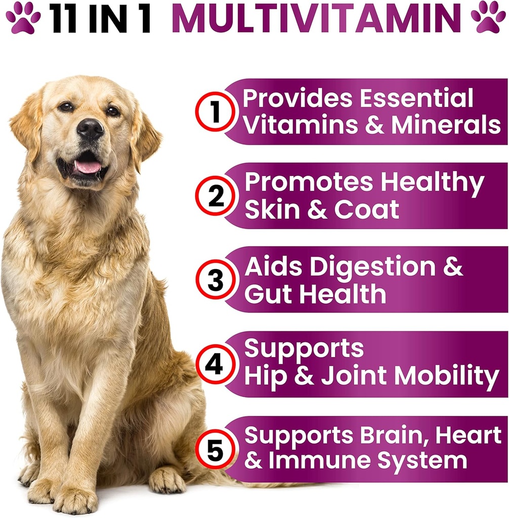 dog-multivitamin-chewable-with-glucosami-2.jpg