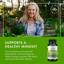 swanson-rosemary-extract-500-milligrams--6.jpg