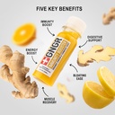 gngr-immunity-booster-organic-ginger-and-3.jpg
