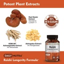 dailynutra-reishi-longevity-formula---or-3.jpg