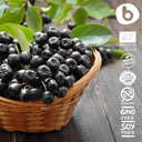 b-organic-aronia-berry-powder---black-ch-5.jpg
