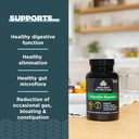 ancient-nutrition-sbo-probiotics-capsule-4.jpg